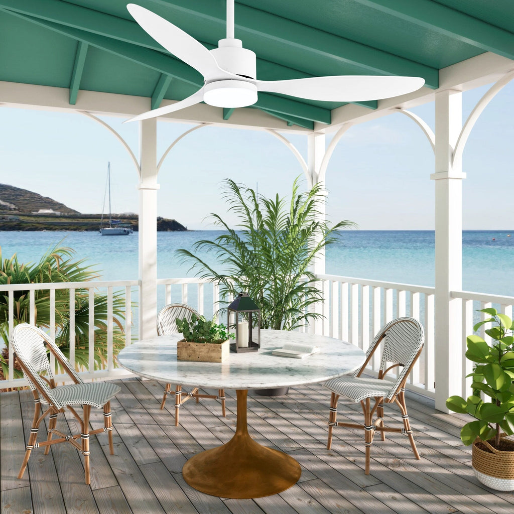 Ventilateur de plafond LED 52 pouces avec télécommande et éclairage (3 pales)