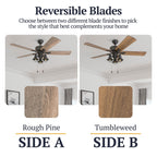 Ventilateur de plafond LED style ferme 52 pouces Prominence Home Sivan Bronze avec télécommande et éclairage