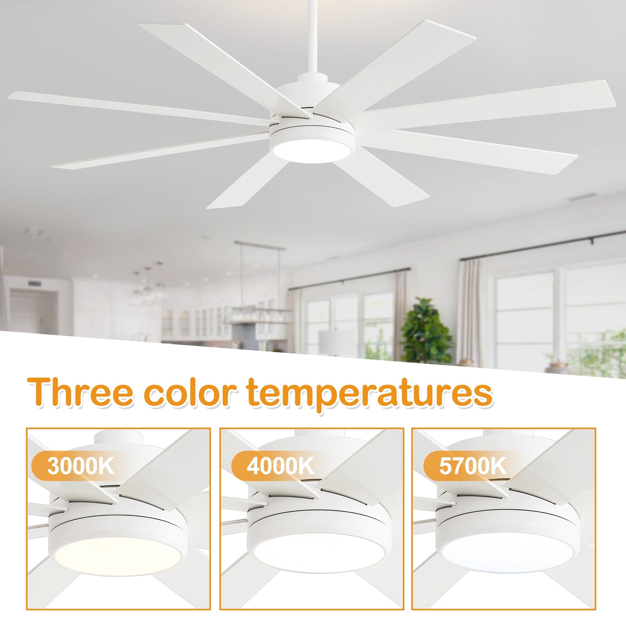 Ventilateur de plafond noir à 8 pales de 65 pouces avec éclairage LED et télécommande