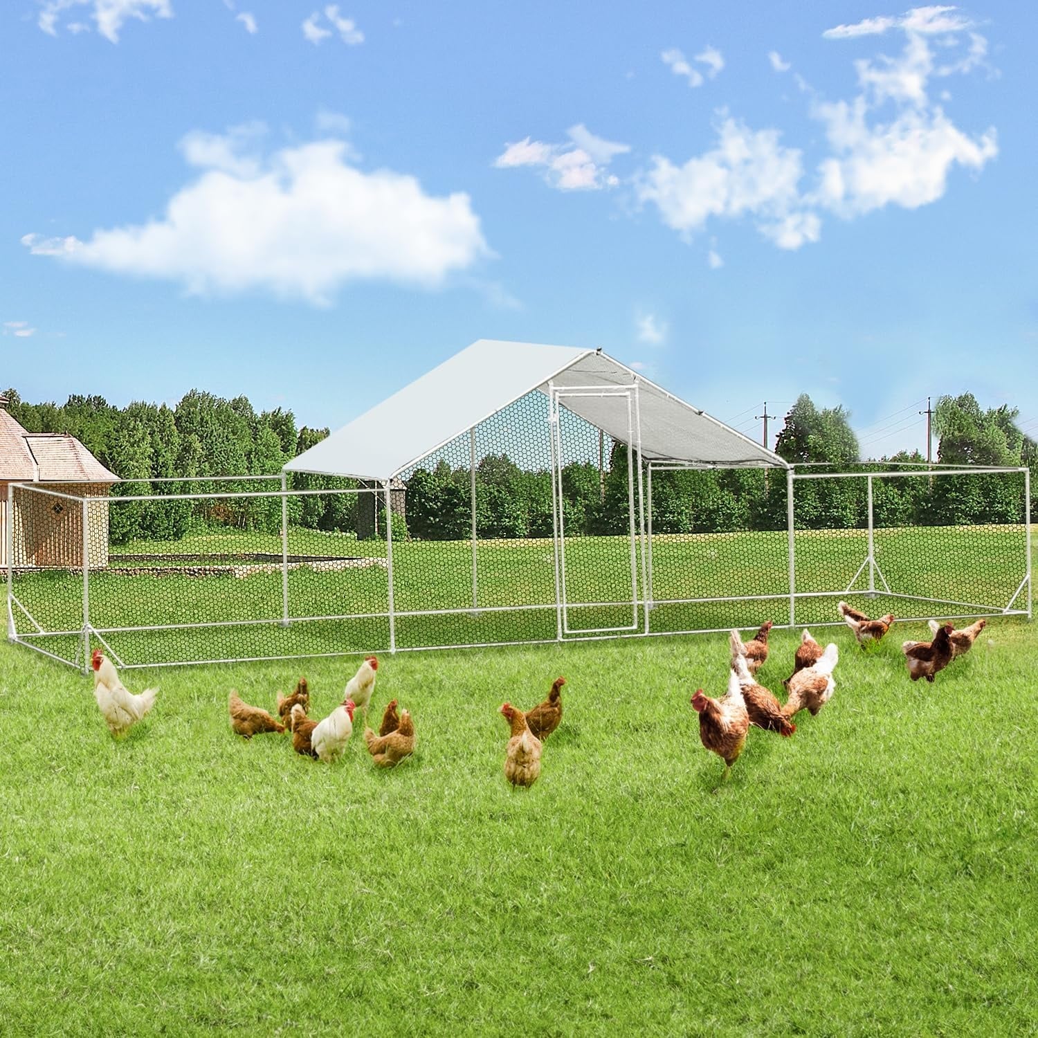 AECOJOY Grand poulailler métallique avec enclos et cage à poules accessibles à pied