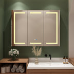 Armoire à pharmacie murale blanche avec miroir LED antibuée 6000K