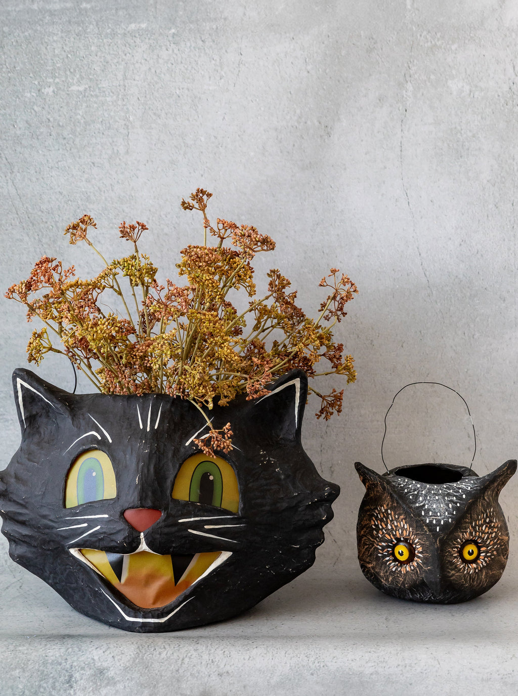 Seau de bonbons pour chat