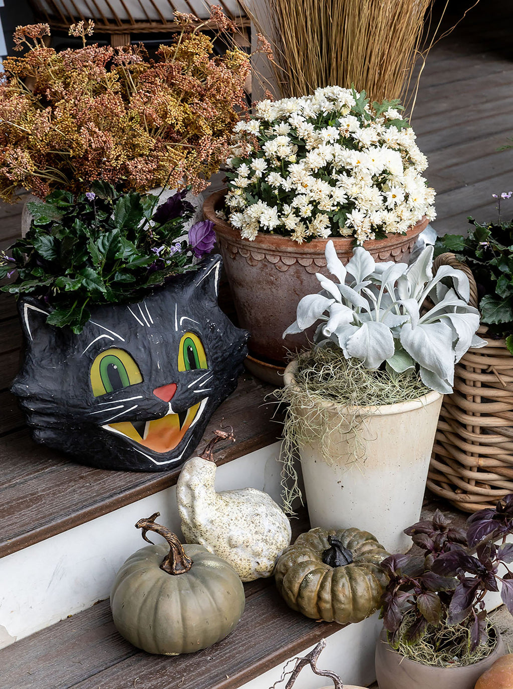 Seau de bonbons pour chat