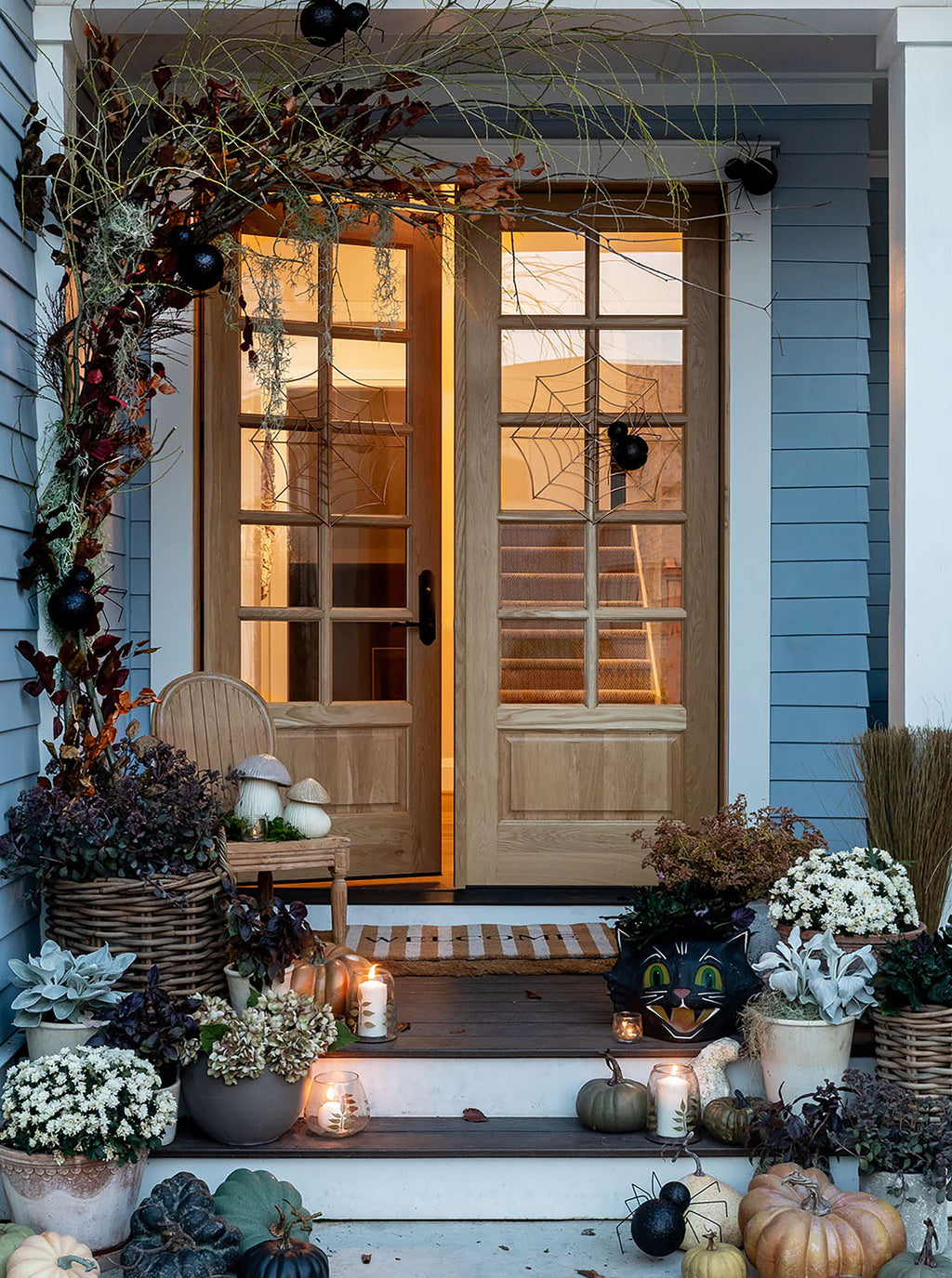 Seau de bonbons pour chat