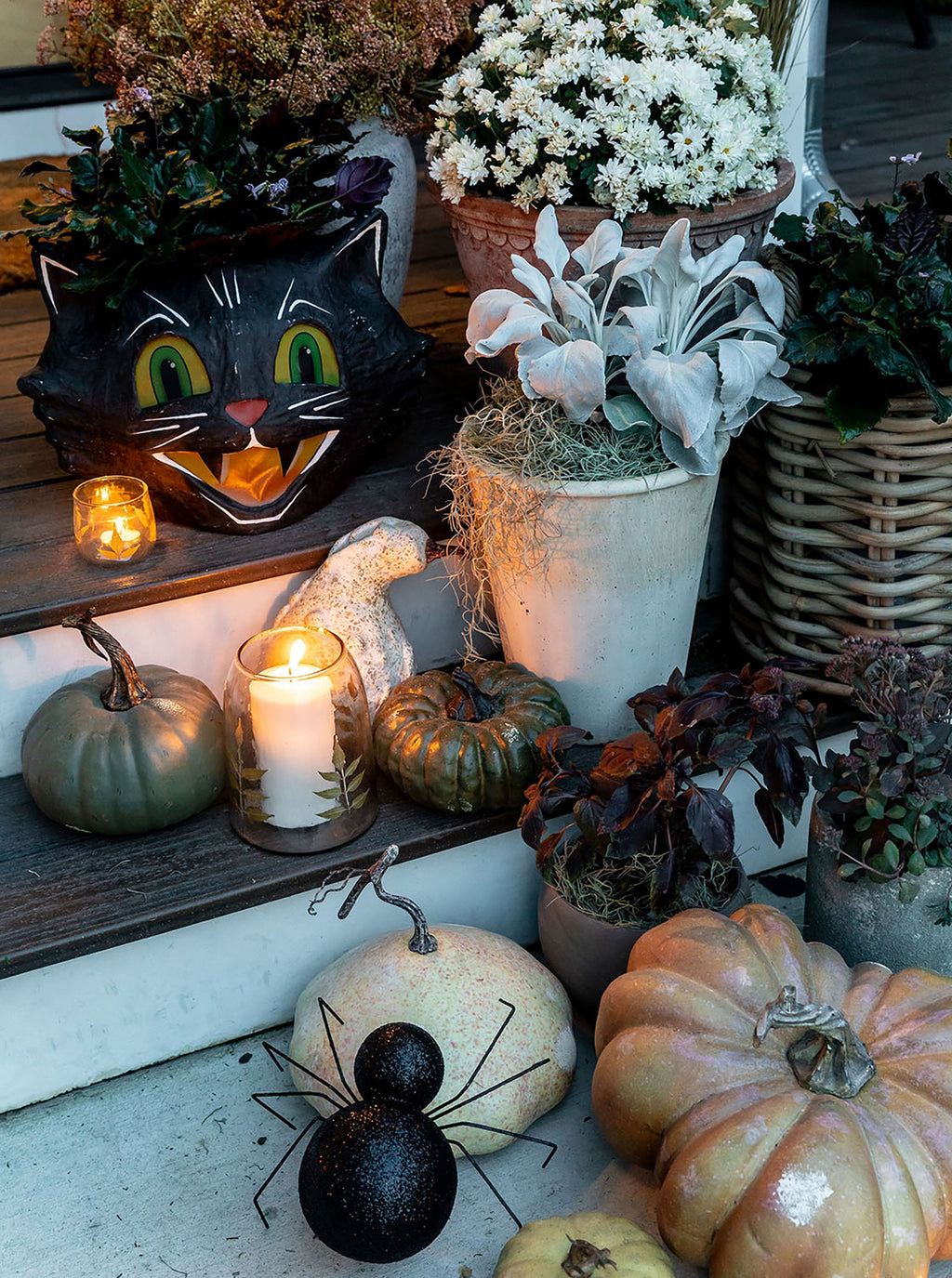 Seau de bonbons pour chat