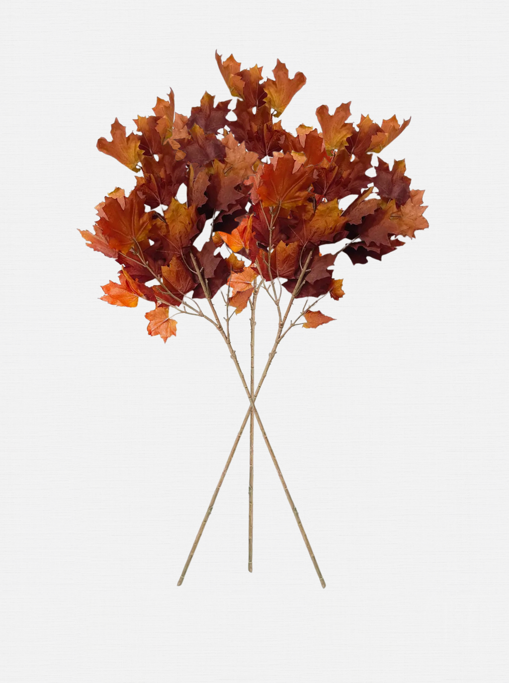 Tige de fausse feuille d'érable