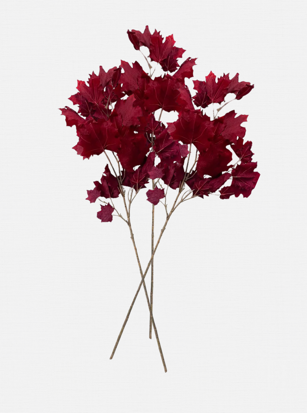 Tige de fausse feuille d'érable