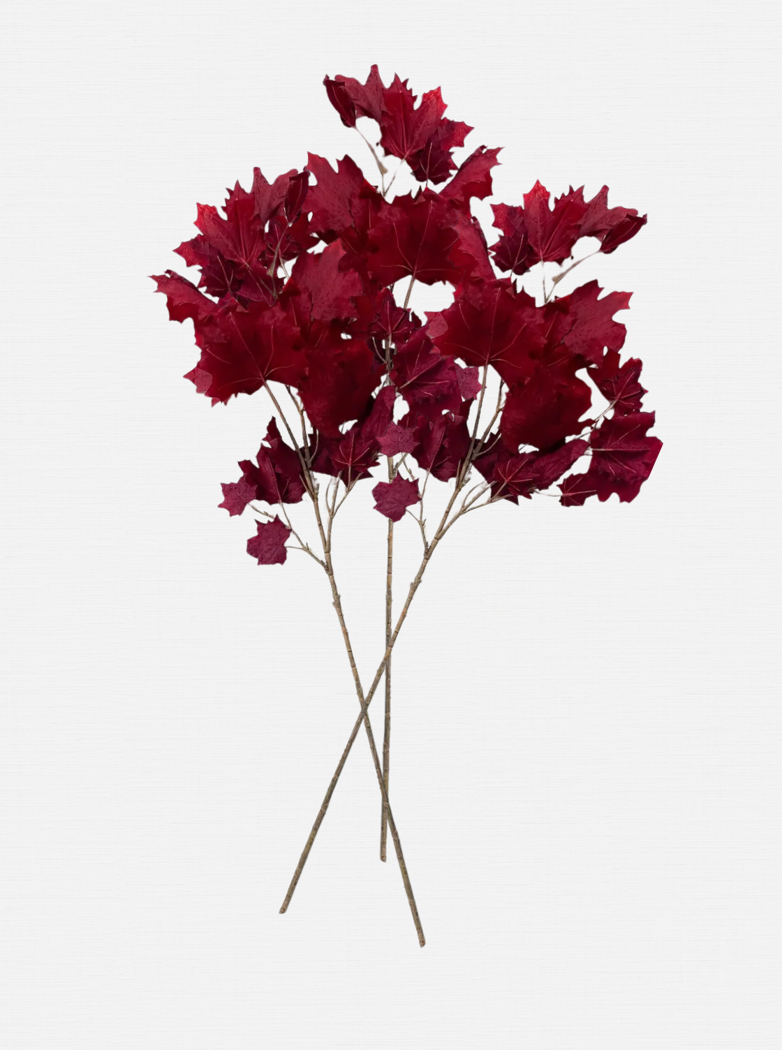 Tige de fausse feuille d'érable