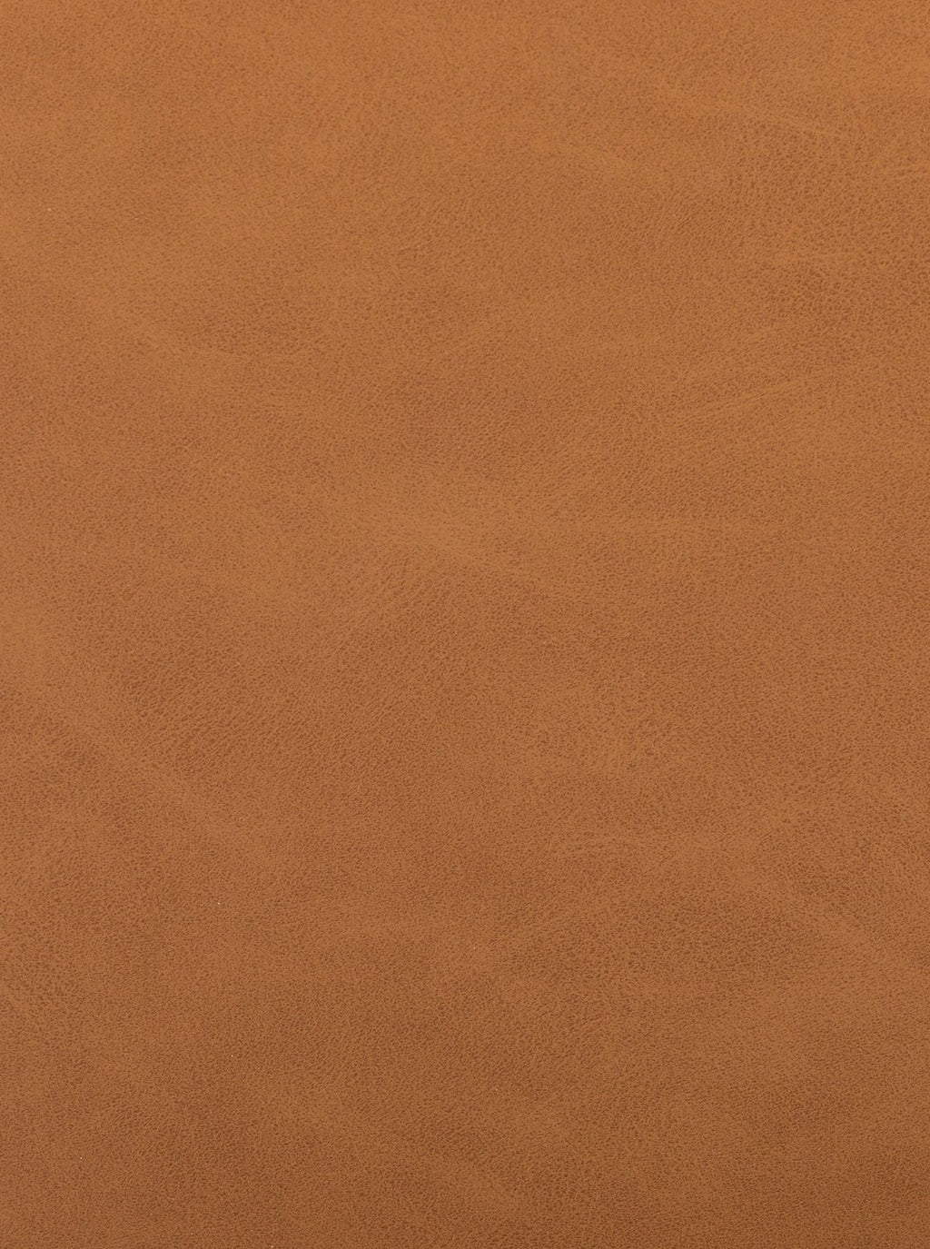 Chaise de salle à manger Alto