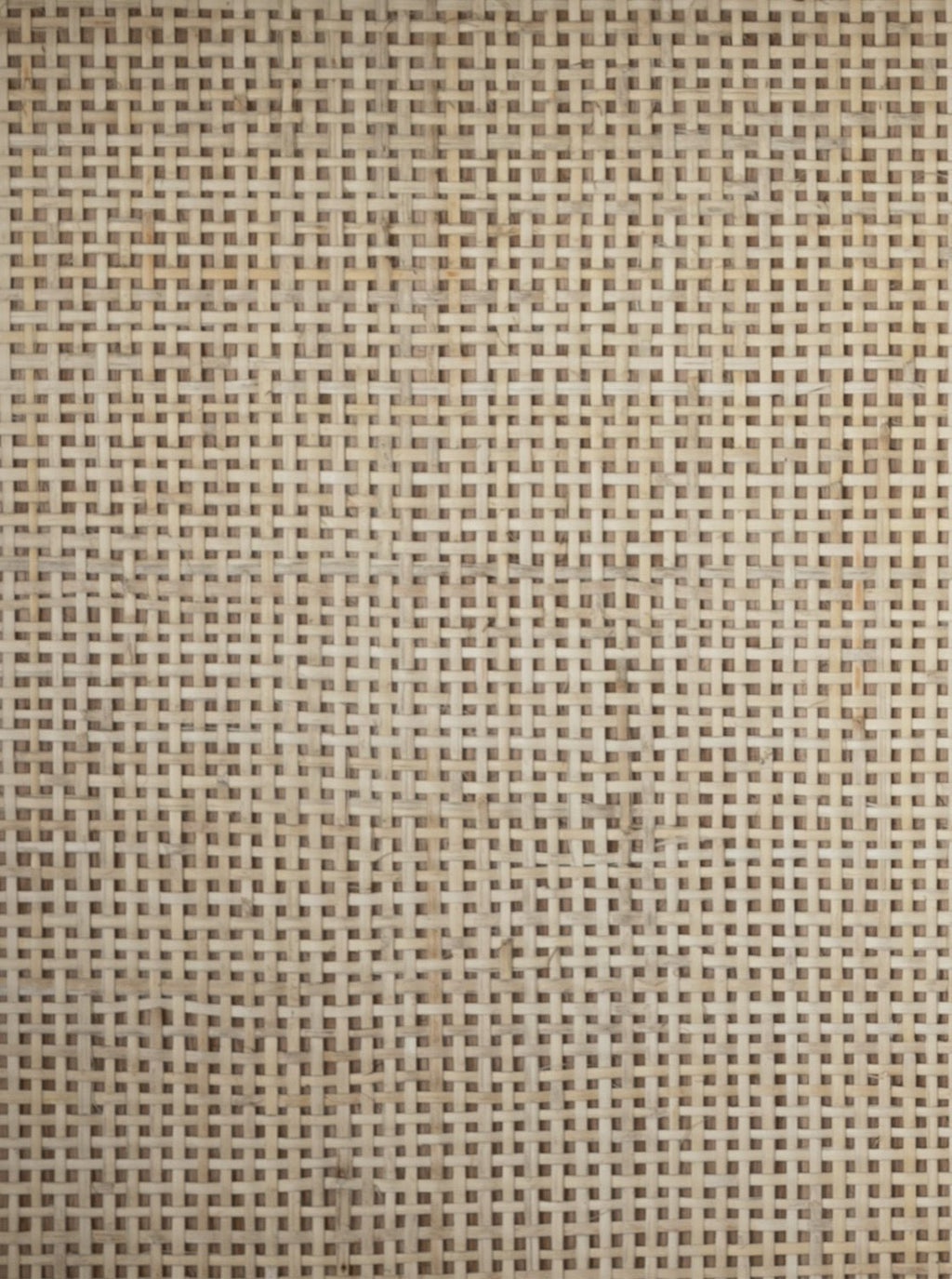 Bibliothèque Amélie