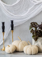 Citrouilles bouclées