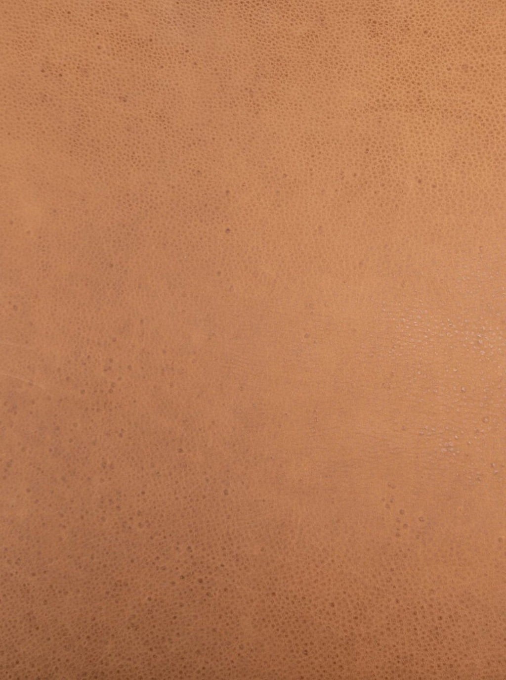 Chaise de salle à manger Chapman