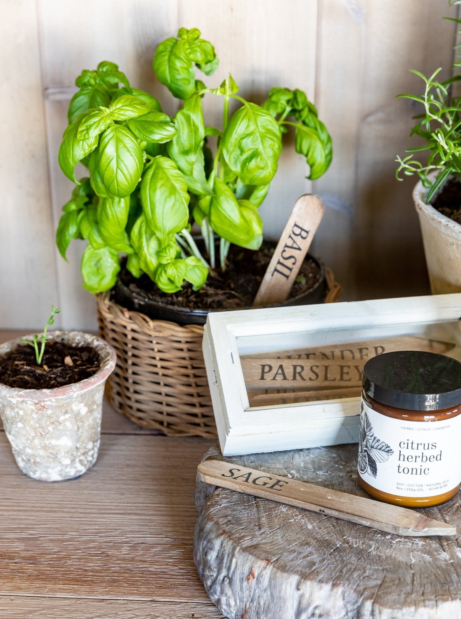 Bougie au soja tonique aux agrumes et aux herbes