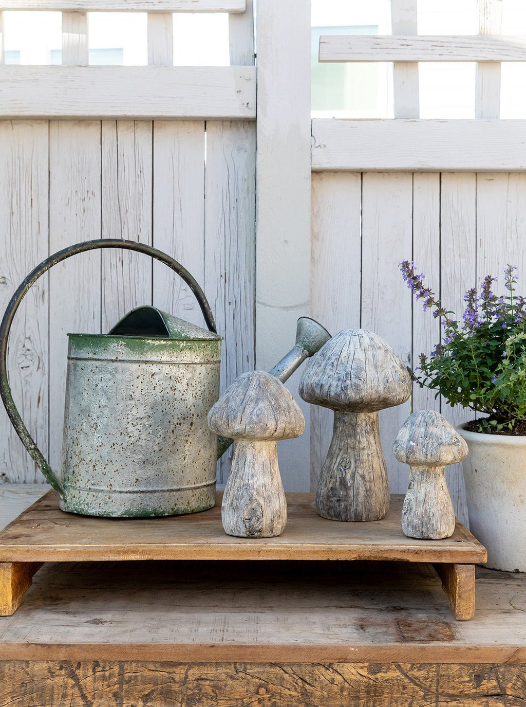 Champignons en béton