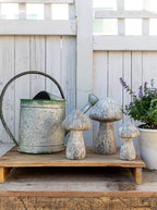 Champignons en béton