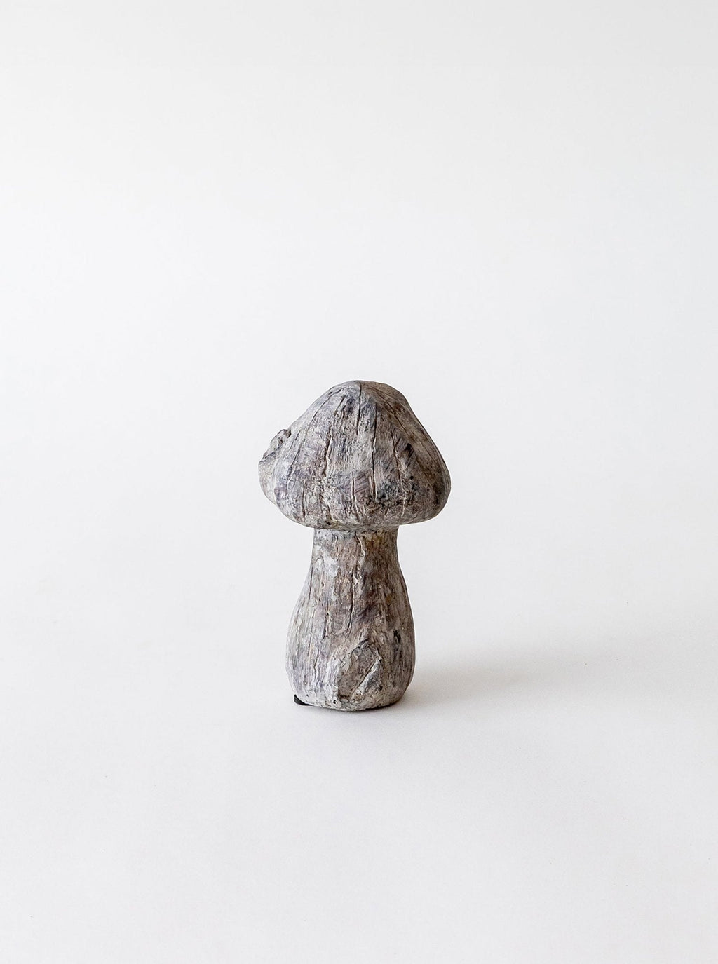 Champignons en béton