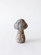 Champignons en béton