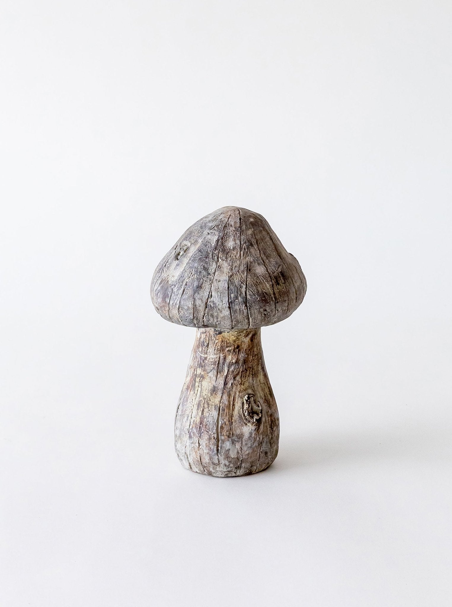 Champignons en béton