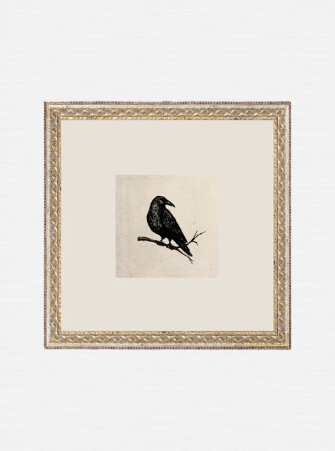 Étude sur les corbeaux