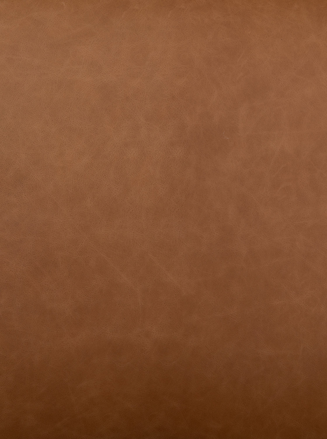 Chaise de salle à manger Dillon