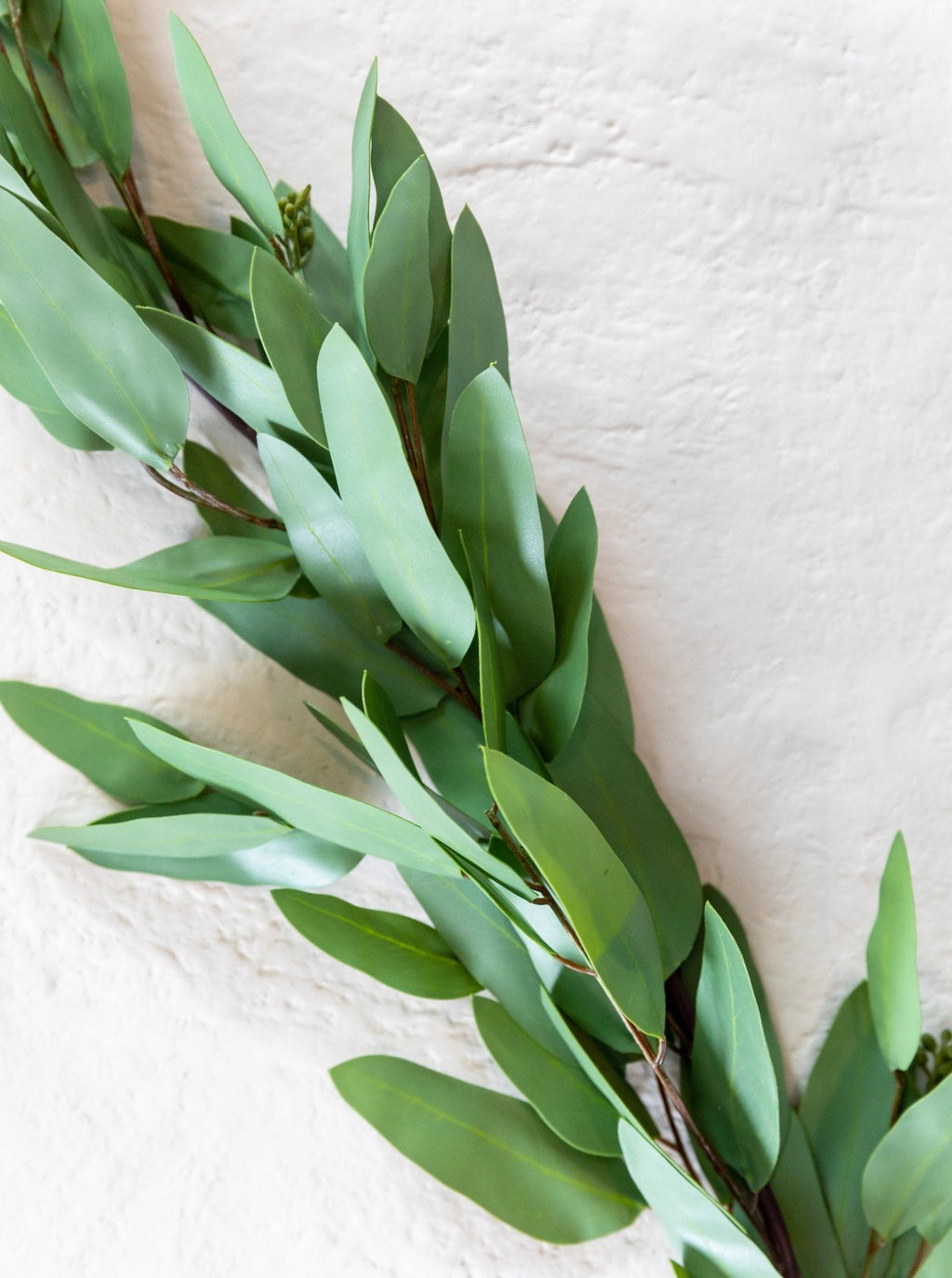 Guirlande d'eucalyptus artificiel à graines de 1,5 m