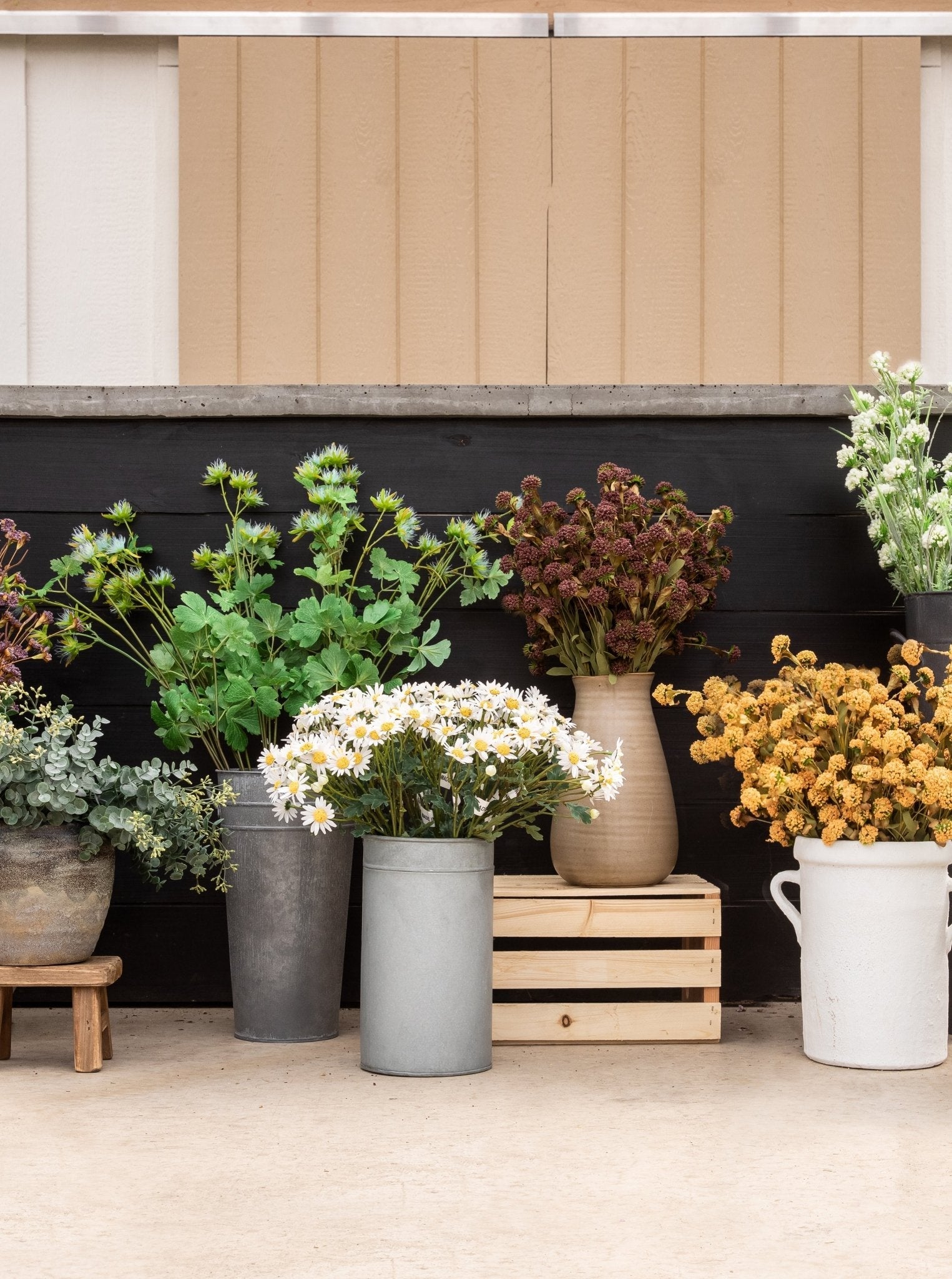 Tige de fausse marguerite