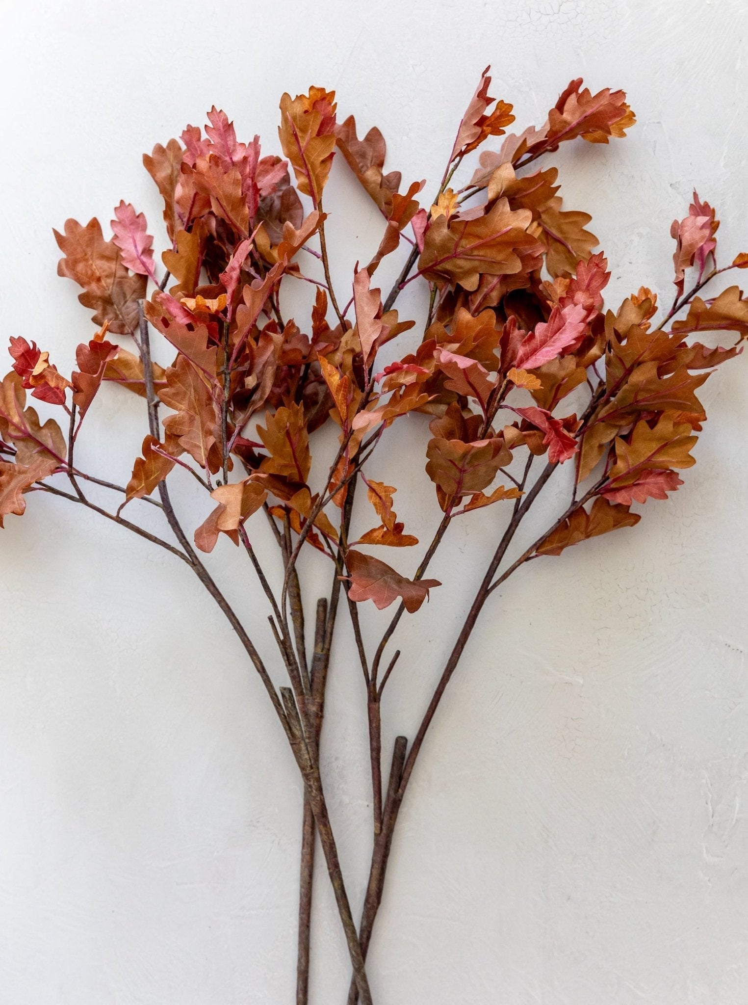 Tige en faux chêne rouge