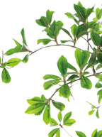 Faux arbre à dames ombragé