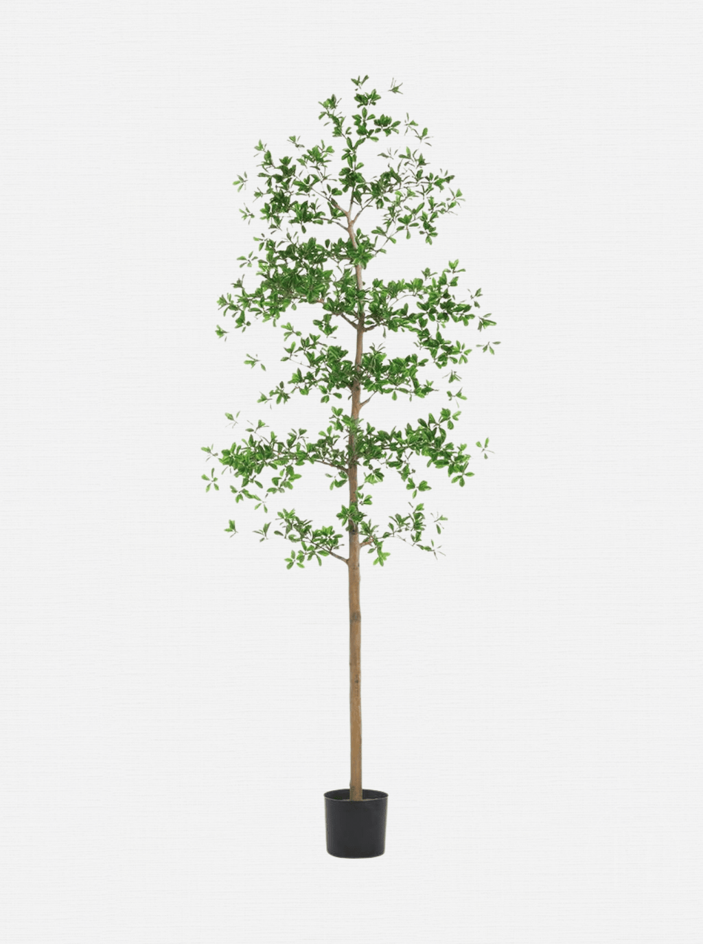 Faux arbre à dames ombragé