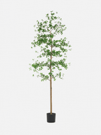 Faux arbre à dames ombragé