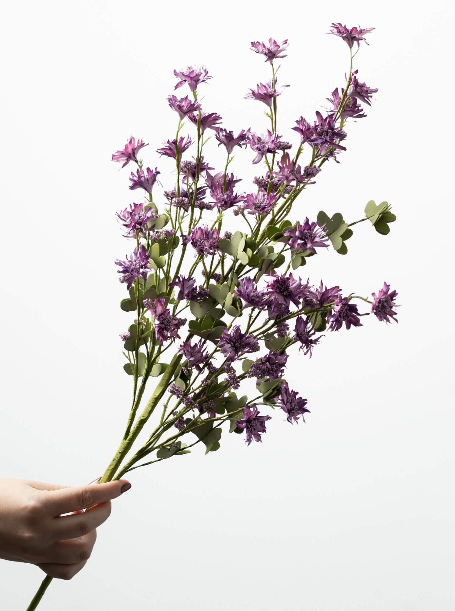 Tige de fausse fleur sauvage