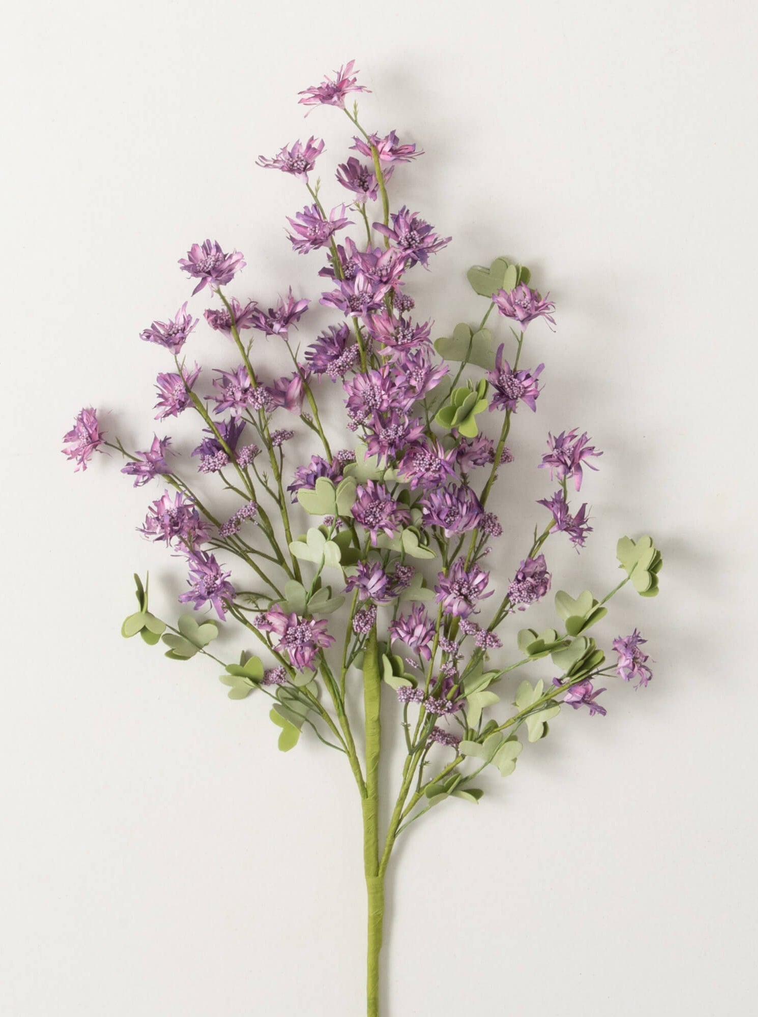 Tige de fausse fleur sauvage