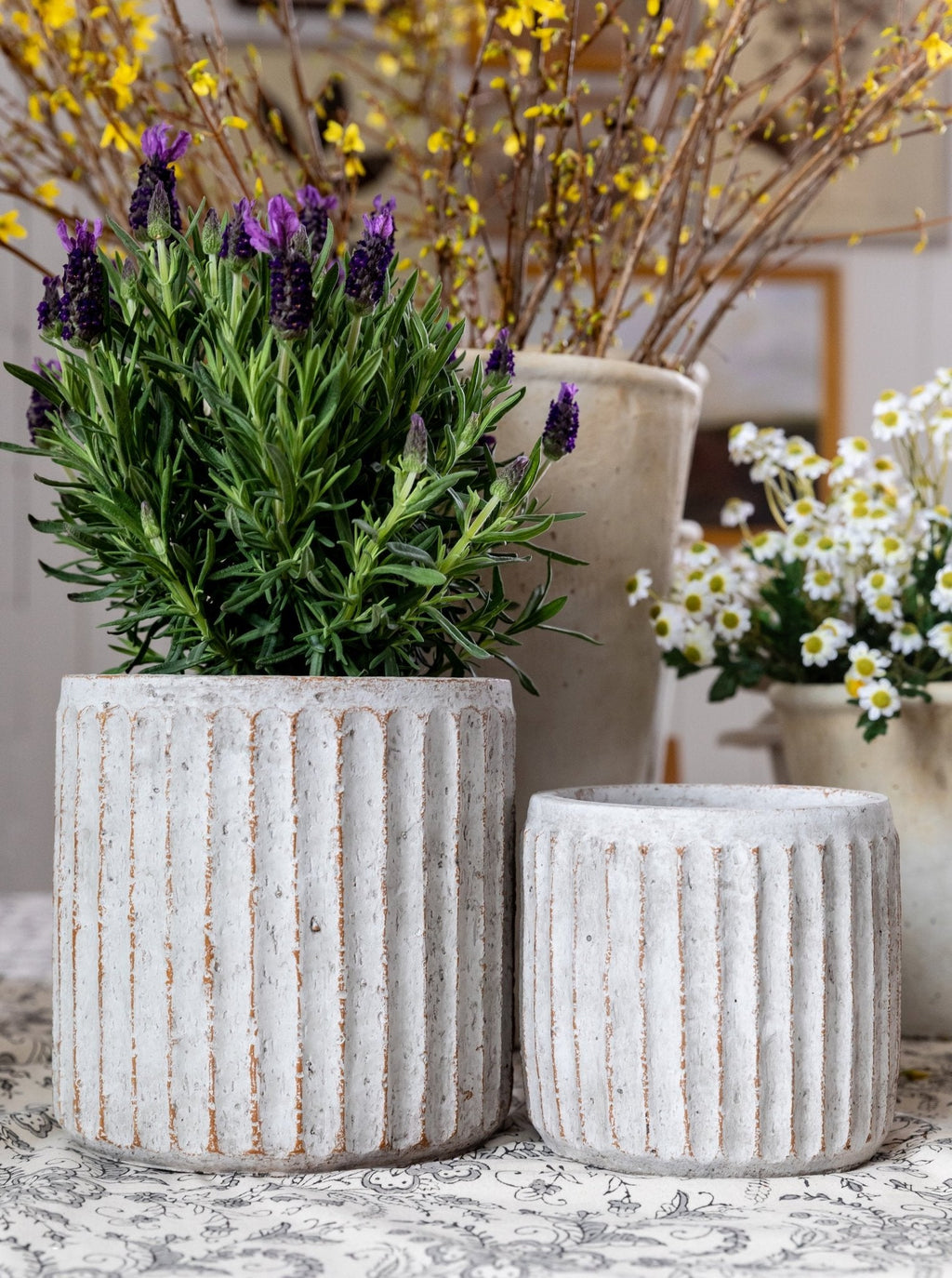 Pots cannelés | Lot de 2