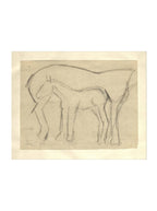 Croquis original dessiné à la main au crayon, représentant un poulain, sur papier mat. Moment entre une mère et son poulain.