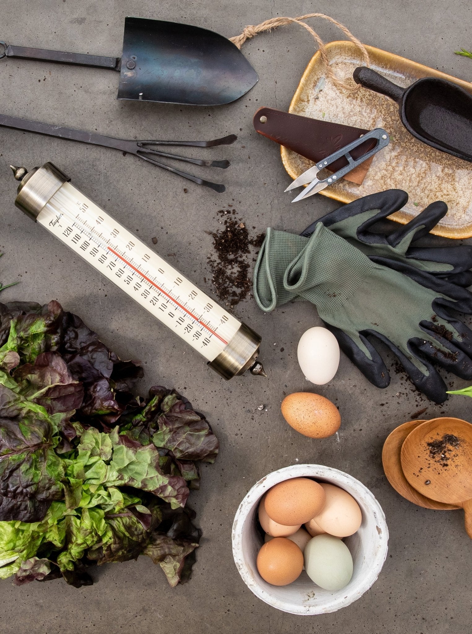 Truelle à main en fer forgé