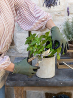 Gants de jardin