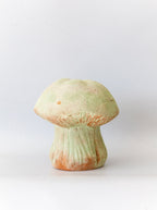 Champignons de jardin