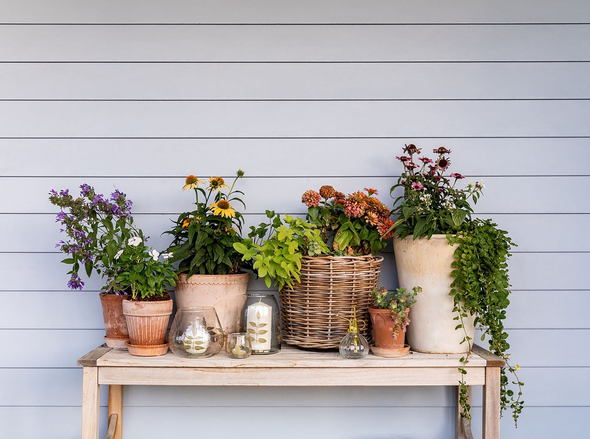 Brumisateur pour plantes en verre