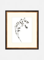 Botaniques encrées I