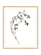 Botaniques encrées I