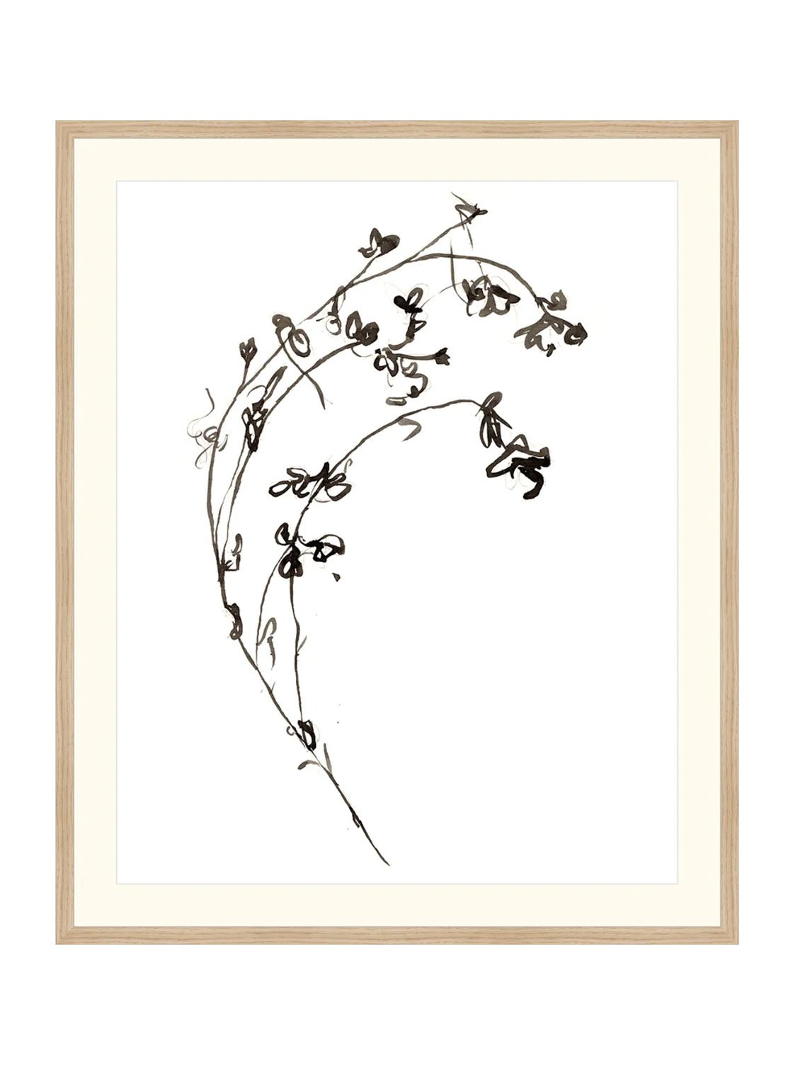 Botaniques encrées I