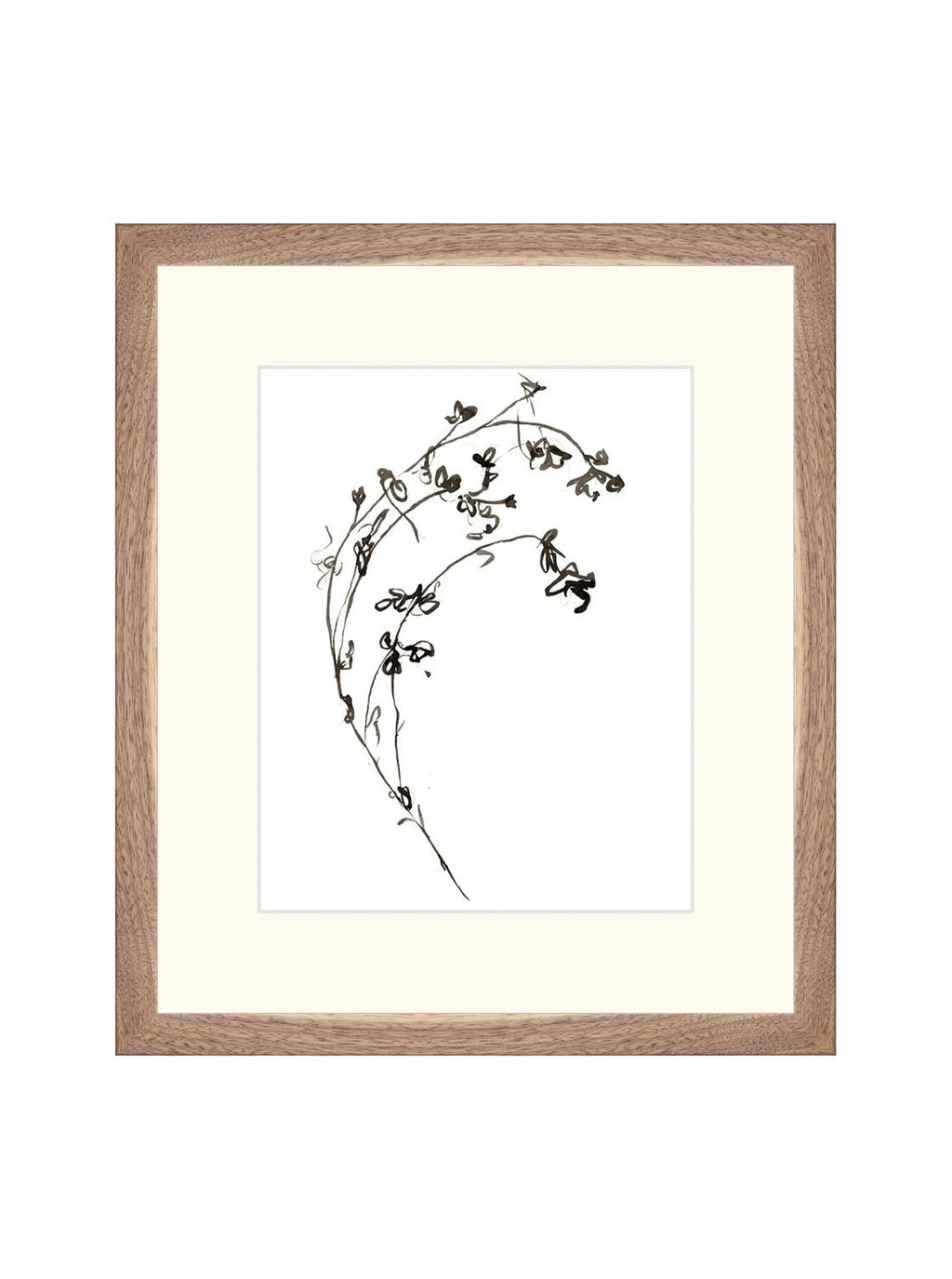 Botaniques encrées I