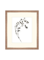 Botaniques encrées I