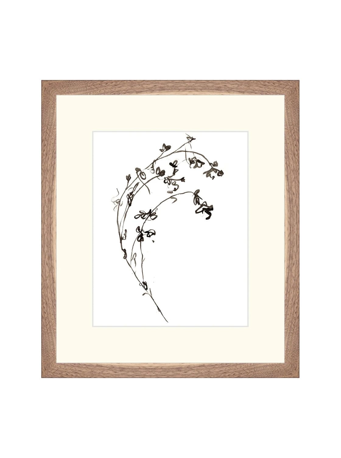 Botaniques encrées I