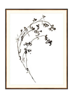 Botaniques encrées I