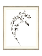 Botaniques encrées I