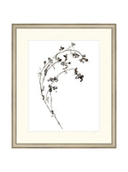 Botaniques encrées I