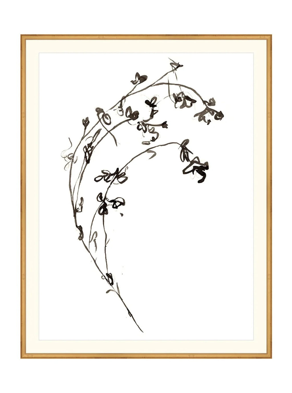 Botaniques encrées I