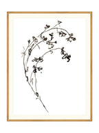 Botaniques encrées I