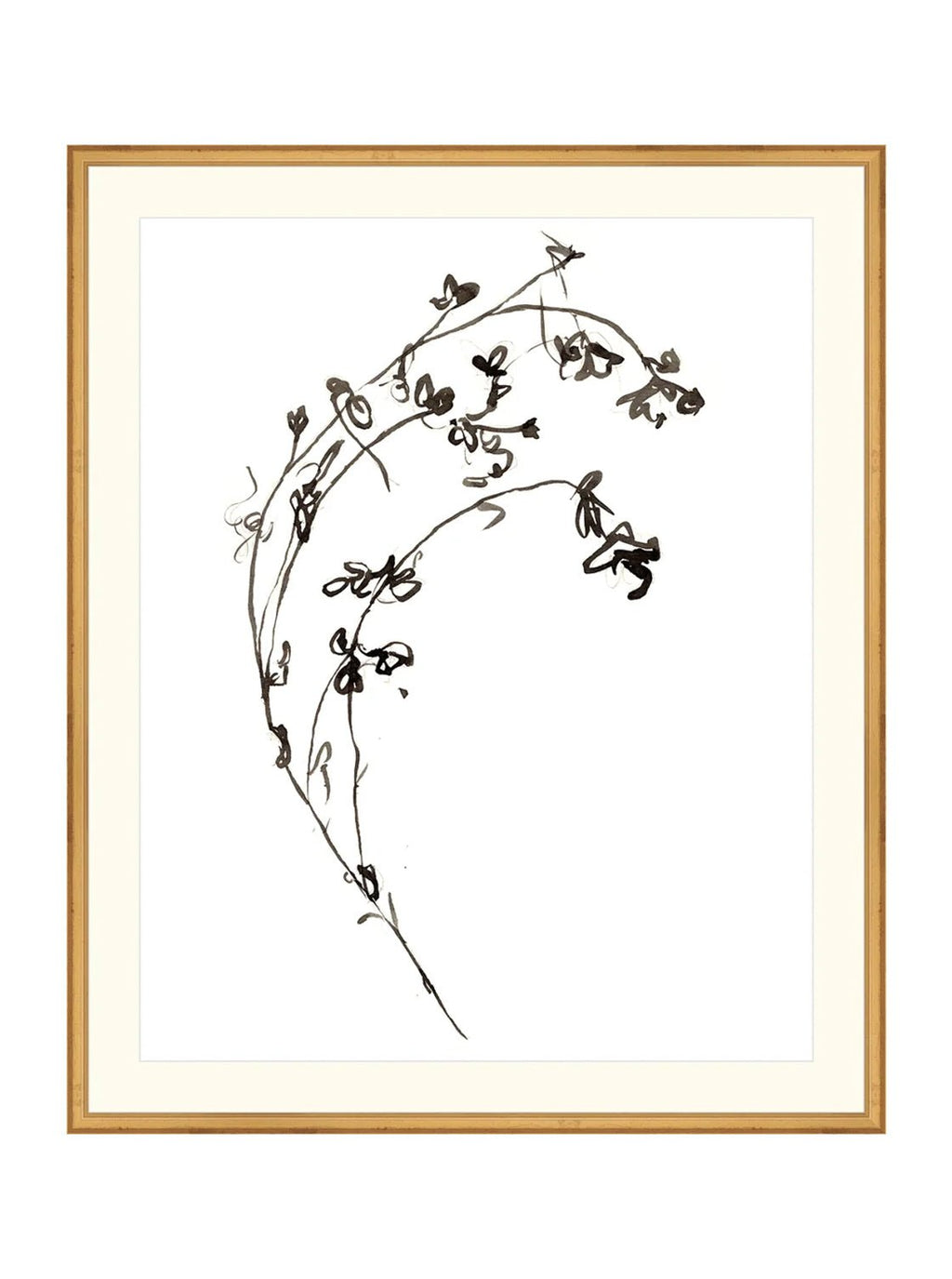 Botaniques encrées I